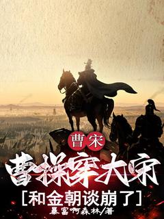 曹宋：曹操穿大宋，和金朝谈崩了！快手热推曹操赵桓免费阅读