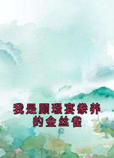 小说我是顾璟宴豢养的金丝雀主角为秦丝丝顾璟宴免费阅读-暗夜阅读网