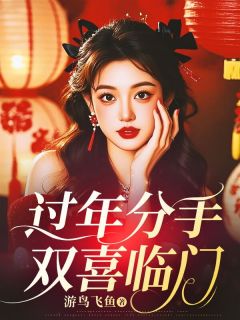 (精品)过年分手，双喜临门小说