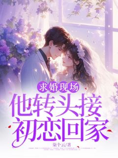 夏桑沫沈廷烨小说<求婚现场,他转头接初恋回家>全文在线阅读-暗夜阅读网
