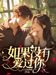 抖音热推小说如果没有爱过你全文在线阅读
