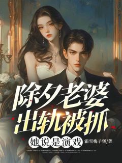 李峰林淑婉全本小说 除夕老婆出轨被抓，她说是演戏全文免费在线阅读