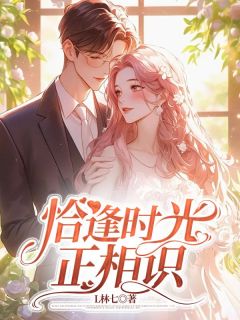 热门推荐恰逢时光正相识byL林七小说正版在线