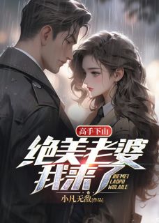 高手下山：绝美老婆我来了by小凡无敌免费阅读小说大结局