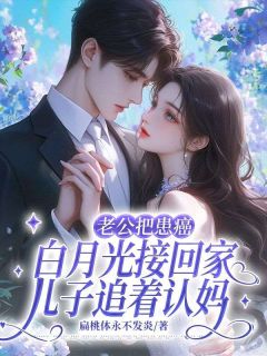 书荒必备江明月陆云开小说