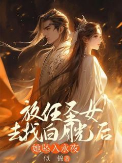 主人公沈致远林慕婉小说放任圣女去找白月光后，她坠入永夜在线全文阅读