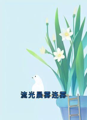 连雾陆西野全本章节在线阅读大结局