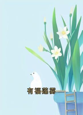 知乎小说有福莲雾主角是连雾陆西野全文阅读