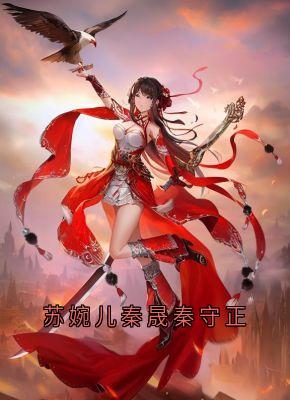 良心推荐苏婉儿秦晟秦守正小说试读