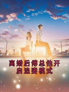 快手热文离婚后傅总他开启追妻模式顾念傅景深小说推荐-暗夜阅读网