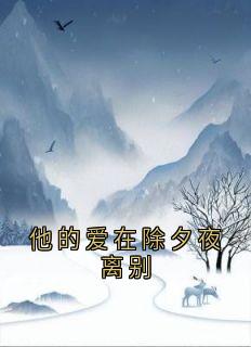 他的爱在除夕夜离别by沈延初霍晚棠在线阅读