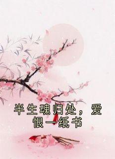 独家半生魂归处，爱恨一纸书小说-主角宋青珩易儿全文免费阅读