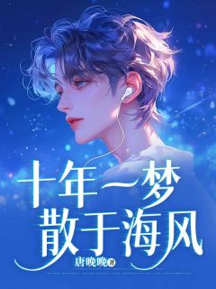 十年一梦散于海风小说(完结)-贺寻舟沈晚宁无删减阅读-暗夜阅读网