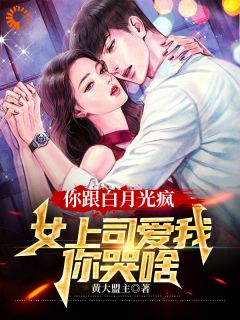 精选好书你跟白月光疯，女上司爱我你哭啥无删减版全文在线-暗夜阅读网