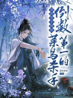 精选好书穿到杀手阁做倒数第一的菜鸟杀手无删减版全文在线-暗夜阅读网