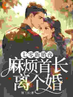 七零新婚夜，麻烦首长离个婚！(林菀宁沈行舟)全文完整版阅读-暗夜阅读网