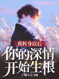 我转身以后，你的深情开始生根陈年江莹宋风小说全章节最新阅读