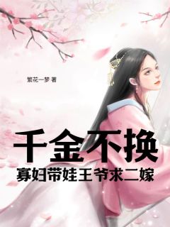 千金不换：寡妇带娃王爷求二嫁是什么小说柳如思秦烈全本免费阅读