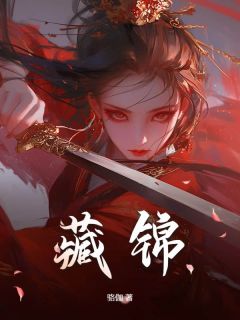 抖音爆款藏锦完整小说（全文阅读）