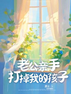 老公亲手打掉我的孩子沈之年姜至免费全章节目录阅读