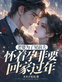老婆为了见前夫，怀着孕非要回家过年小说全集(姜雅岚陆景明)无弹窗广告阅读-暗夜阅读网