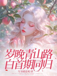 岁晚青山路，白首期同归章节目录小说-林若周叶寒免费阅读全文