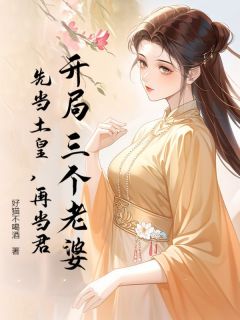 （全本）开局三个老婆，先当土皇，再当君主角孙坚周婉儿全文目录畅读