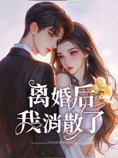 离婚后，我消散了全集小说_夏雨陆行洲完结版阅读-暗夜阅读网