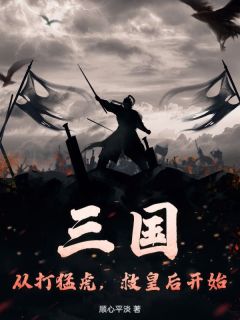 三国：从打猛虎，救皇后开始免费阅读全文，主角张禟曹操小说完整版最新章节-暗夜阅读网