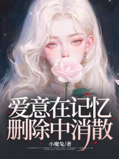 爱意在记忆删除中消散无弹窗在线阅读-暗夜阅读网