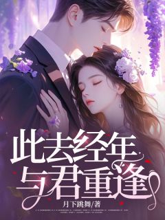 精选好书此去经年，与君重逢无删减版全文在线-暗夜阅读网
