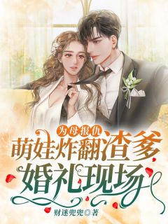 为母报仇，萌娃炸翻渣爹婚礼现场！小说(完本)-沐晚晚霍北枭无错版阅读