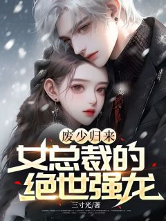 废少归来，女总裁的绝世强龙小说全集(苏平安罗美琴)无弹窗广告阅读