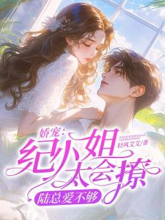 娇宠：纪小姐太会撩，陆总爱不够小说最新章节-主角纪舒颜陆湛珩全文免费阅读