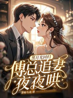 黑月光回归，傅总追妻夜夜哄(新书)小说_秦桉傅曜庭阅读