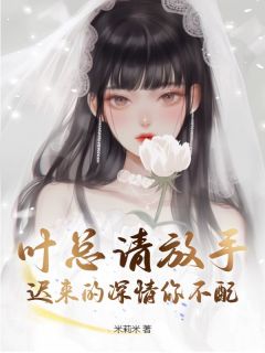 熬夜也要看完的叶总请放手，迟来的深情你不配小说推荐