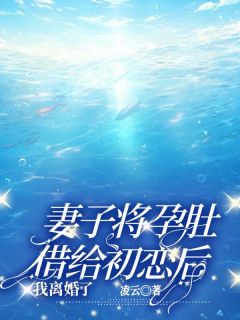 妻子将孕肚借给初恋后，我离婚了by凌云小说完结版在线阅读