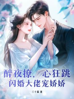 醉夜撩，心狂跳，闪婚大佬宠娇娇无广告阅读 姜宁陆骋免费在线阅读