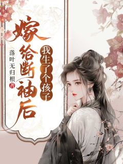 嫁给断袖后，我生了个孩子(新书)大结局在线阅读