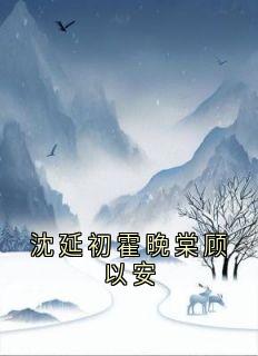 沈延初霍晚棠小说(沈延初霍晚棠顾以安)_沈延初霍晚棠小说最新章节