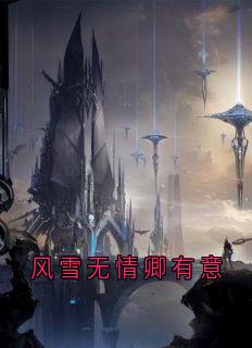 抖音爆款风雪无情卿有意小说免费阅读