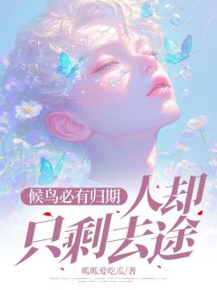 候鸟必有归期，人却只剩去途柳如烟柳傲天沈幼楚免费阅读-候鸟必有归期，人却只剩去途呱呱爱吃瓜小说