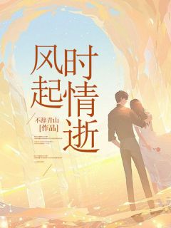 风起时情逝免费阅读全文，主角江淮苓林湘晟小说完整版-暗夜阅读网