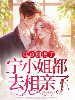 熬夜也要看完的陆总别虐了，宁小姐都去相亲了小说推荐
