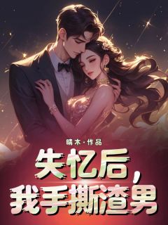 失忆后，我手撕渣男最新章节免费阅读by晴木无广告小说-暗夜阅读网