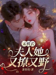 独家宋机长，夫人她又撩又野全本大结局小说阅读