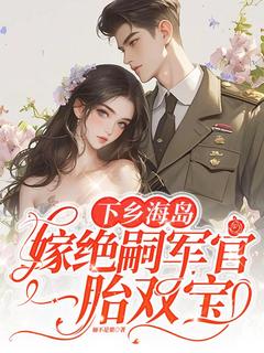 精彩小说下乡海岛，嫁绝嗣军官一胎双宝沈竹一霍锦之全章节在线阅读-暗夜阅读网