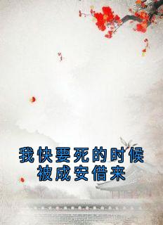 我快要死的时候被成安借来云浮成安全章节完结版在线阅读