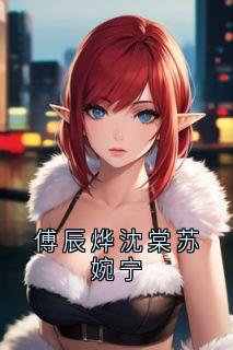 傅辰烨沈棠傅辰烨沈棠苏婉宁小说完整版