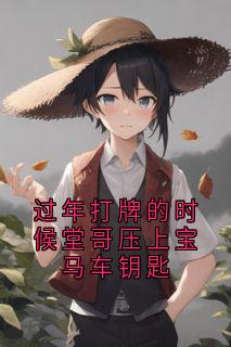 堂哥大伯小说(过年打牌的时候堂哥压上宝马车钥匙)_堂哥大伯小说最新章节